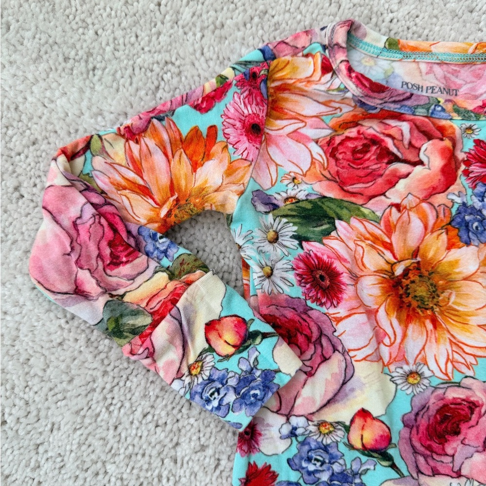 Posh Peanut Long Sleeve 2-Piece Pajama Set - Picture 5 of 11